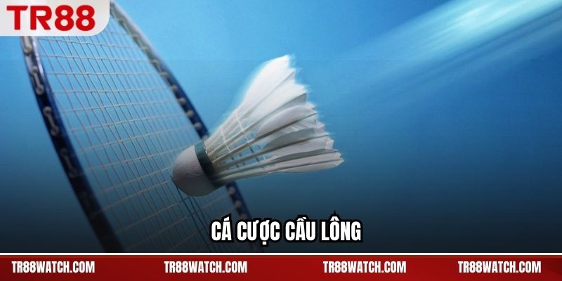 Cá Cược Cầu Lông TR88 - Biến Động Từng Set Trận Đấu