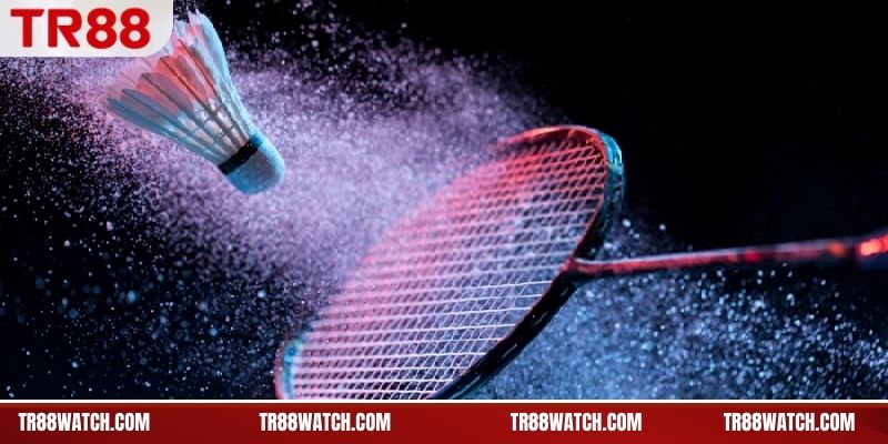 Đặc trưng thi đấu ảnh hưởng cá cược cầu lông