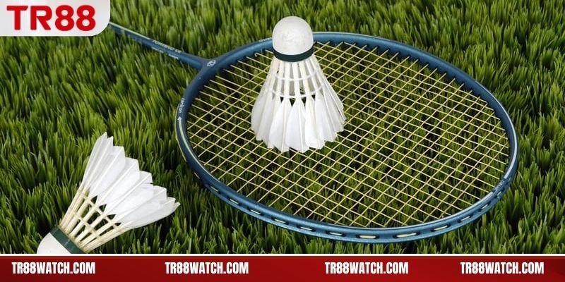 Diễn biến đặt cược thực tế trong cá cược cầu lông