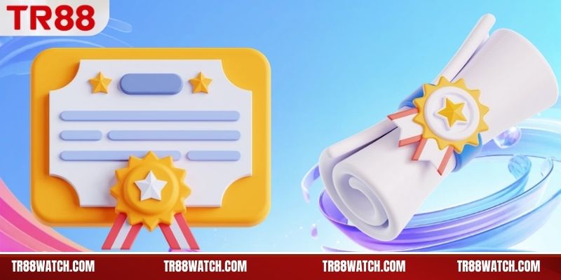 Giấy Phép Hoạt Động TR88 – Cơ Sở Pháp Lý Chuẩn Quốc Tế Giá trị pháp lý đối với TR88