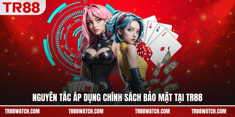 Nguyên tắc áp dụng chính sách bảo mật tại TR88