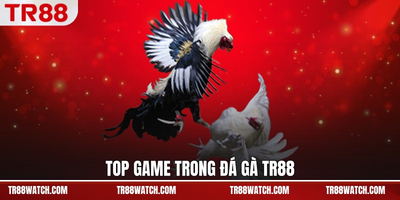 Top game trong Đá gà TR88